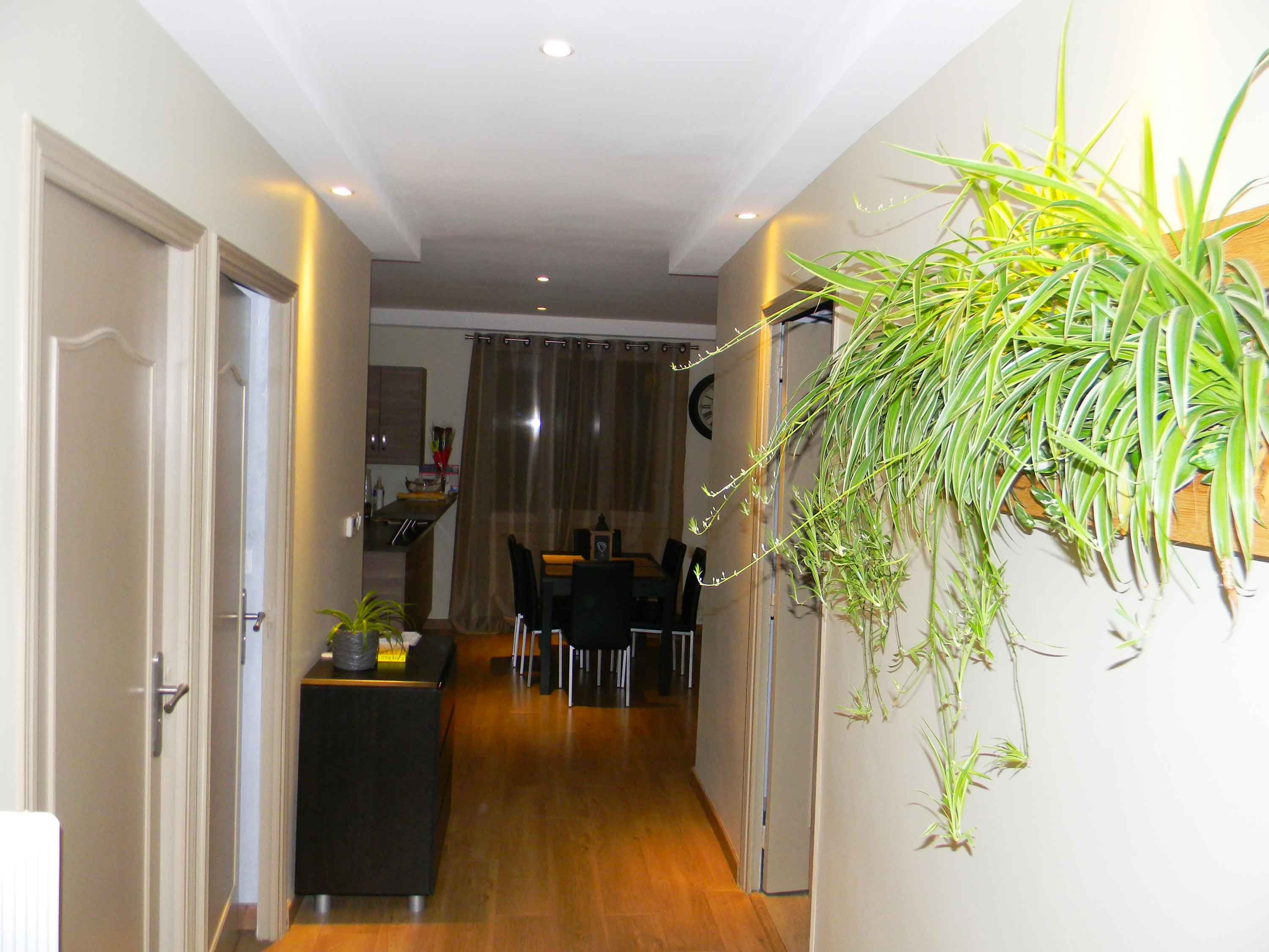 entree-apres-renovation-appartement